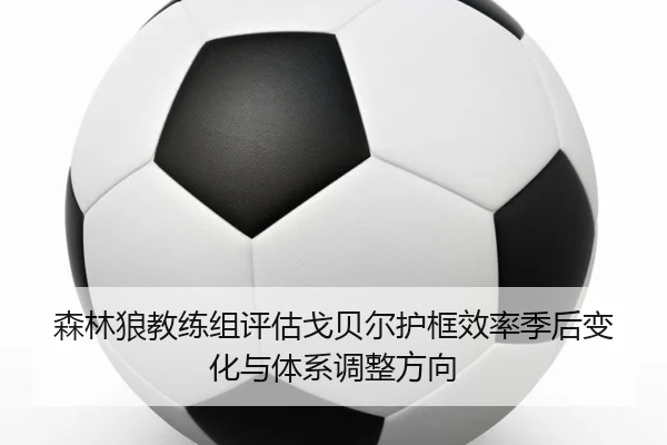 森林狼教练组评估戈贝尔护框效率季后变化与体系调整方向
